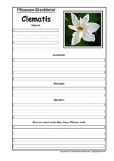 Pflanzensteckbrief-Clematis.pdf